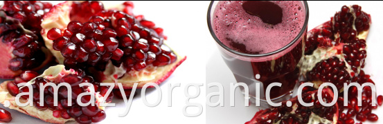 Organic Pomegranate Juice Concentrate powder 